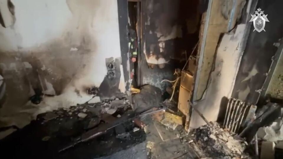    Архитектора застрелили в центре Петербурга. Источник: ГСУ СК РФ по Санкт-Петербургу