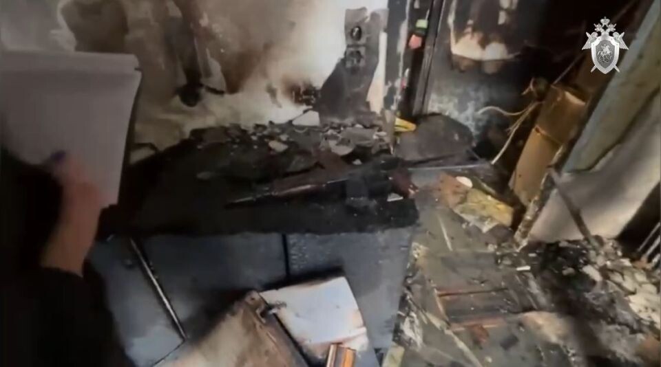    Архитектора застрелили в центре Петербурга. Источник: ГСУ СК РФ по Санкт-Петербургу