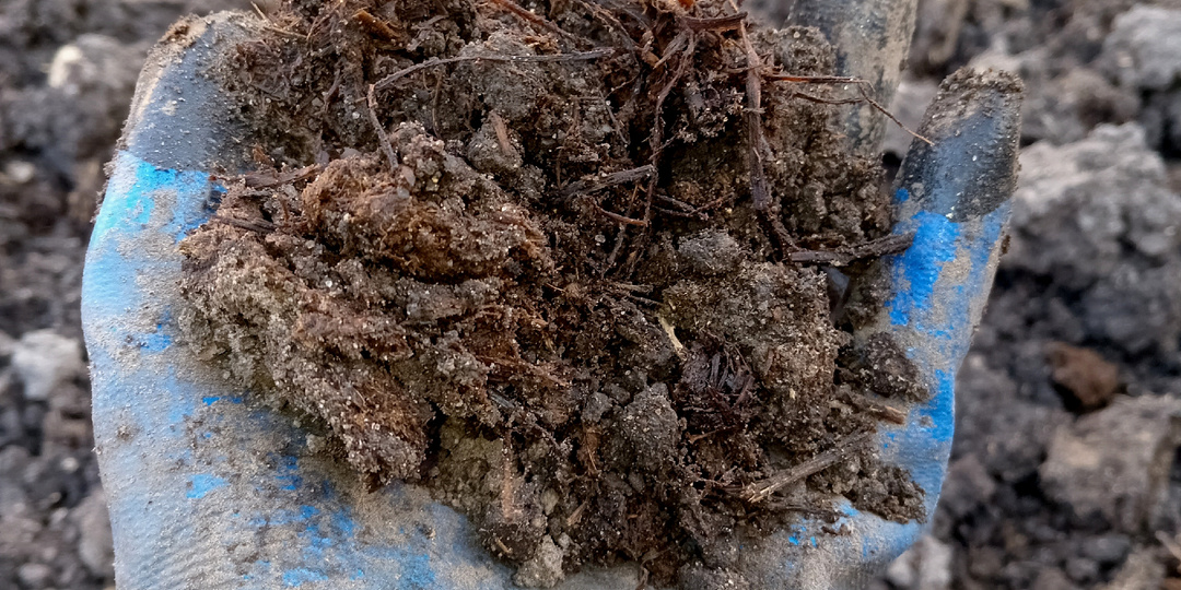 Чем обеззараживать почву осенью - ответы  садоводам не нравятся