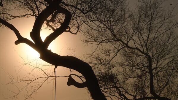    © Sputnik / Виталий Аньков