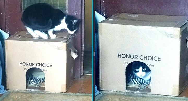 Вот такое жилье