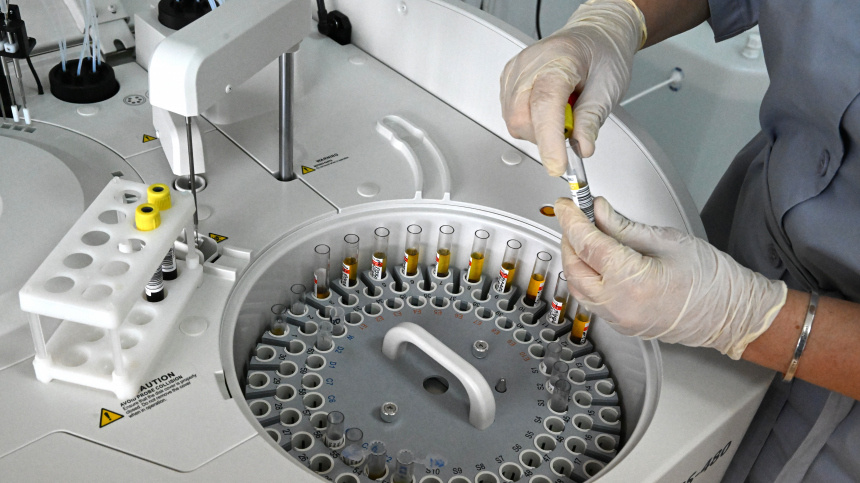    Фото: © РИА Новости/Виталий Аньков