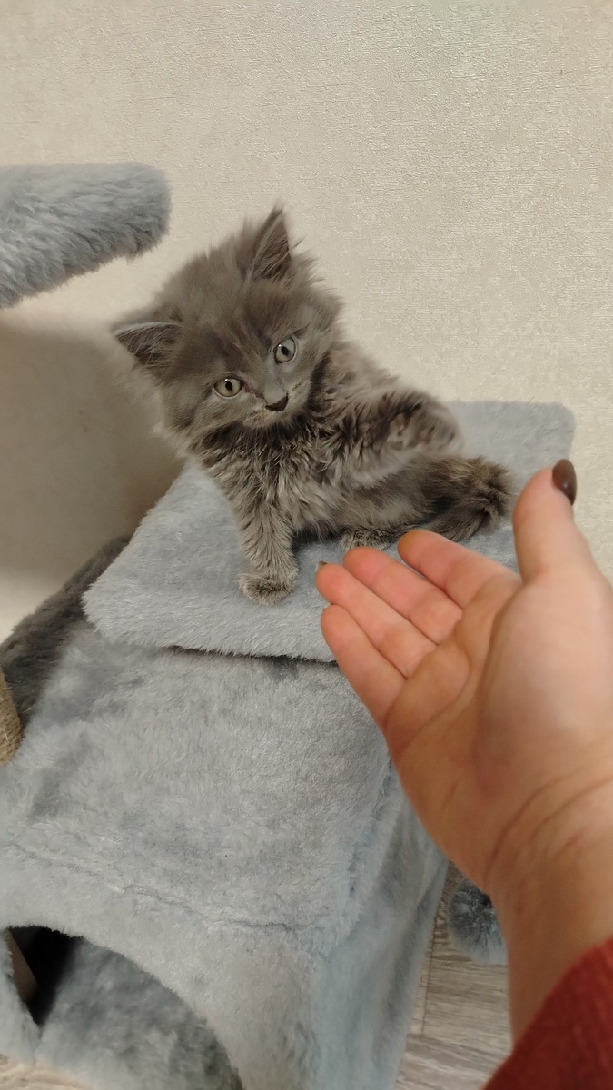 Этот счастливчик вчера уехал в новый дом