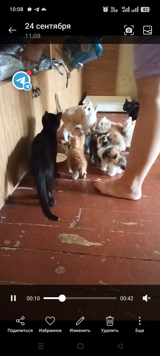 И это ещё не все