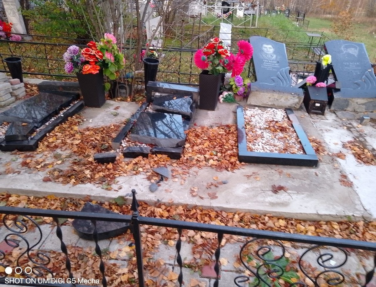    Фото: Новости Берёзовского района / vk.com