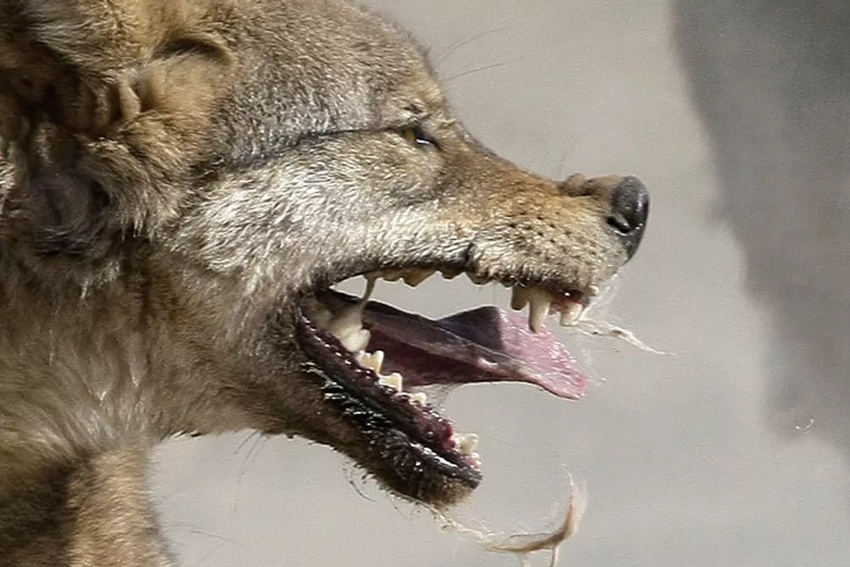    Фото: РИА Новости, источник: ria.ru