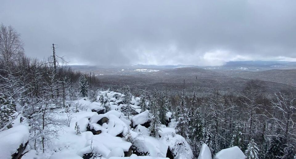    ГСУ СК России по Красноярскому краю и Республике Хакасия