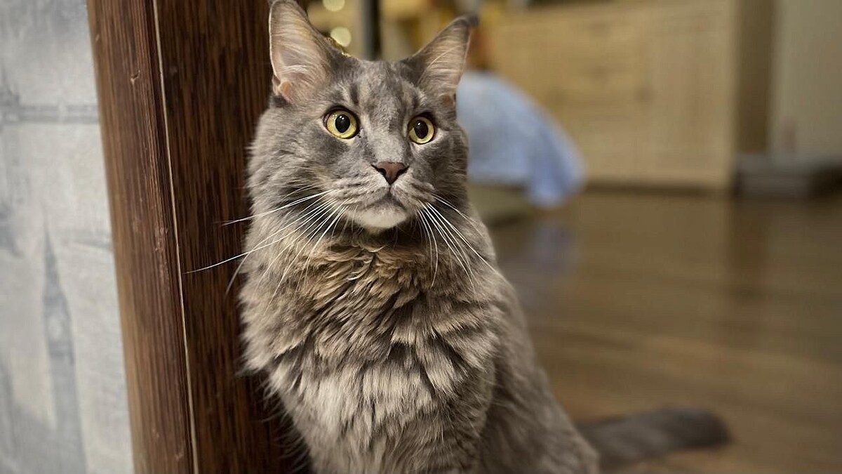    Фото: телеканал «Краснодар»