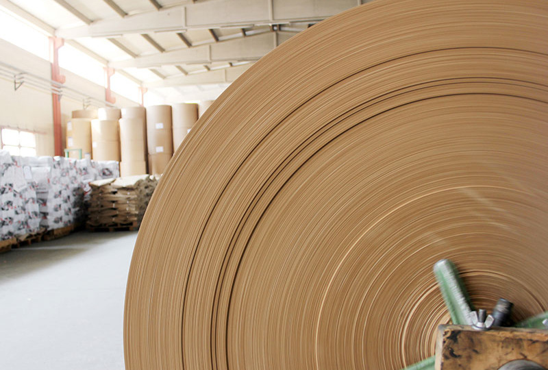 Завод по выпуску тарного картона за 850 млн рублей появится в Омской области