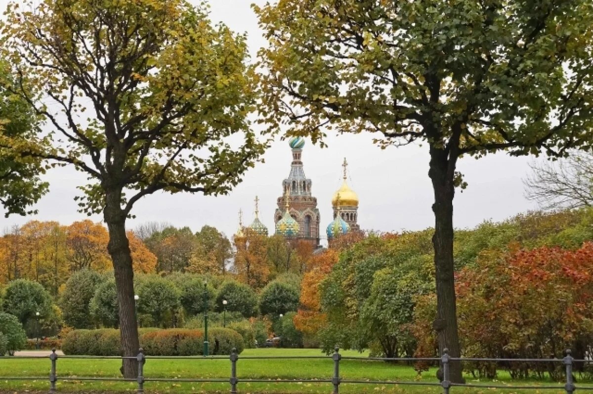    Облачно и без осадков будет в Петербурге в четверг