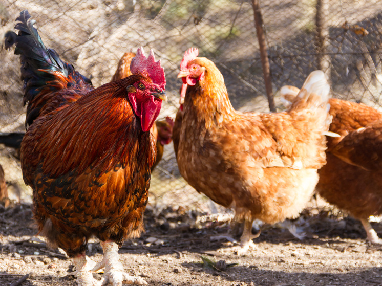     Изображение от wirestock на Freepik