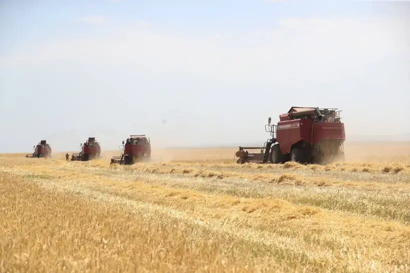     © Пресс-служба главы Ингушетии. Юсуп Ханиев