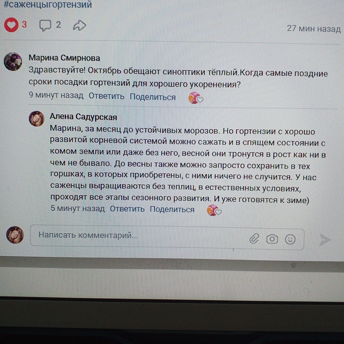 фото автора