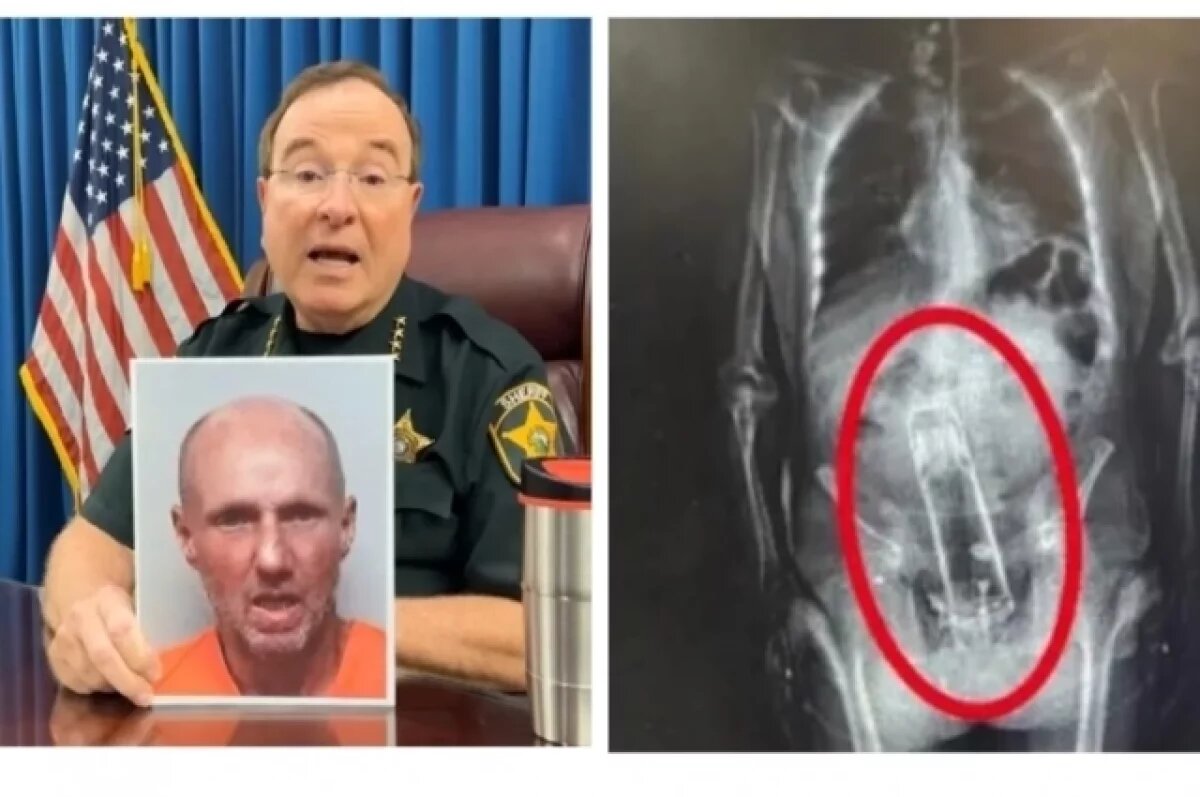    В США полиция после задержания рецидивиста обнаружила в его кишке термос