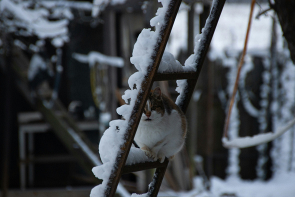     Leonid Privalov/Unsplash