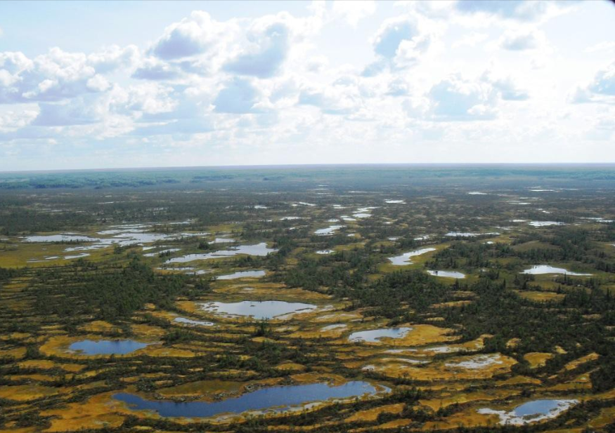 Васюганские болота - величайшие болота России и Западной Сибири