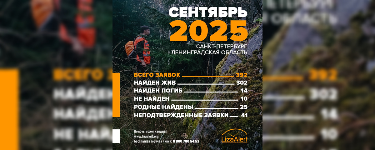Фото: группа «Поисковый отряд «ЛизаАлерт» Питер» в соцсети «Вконтакте»