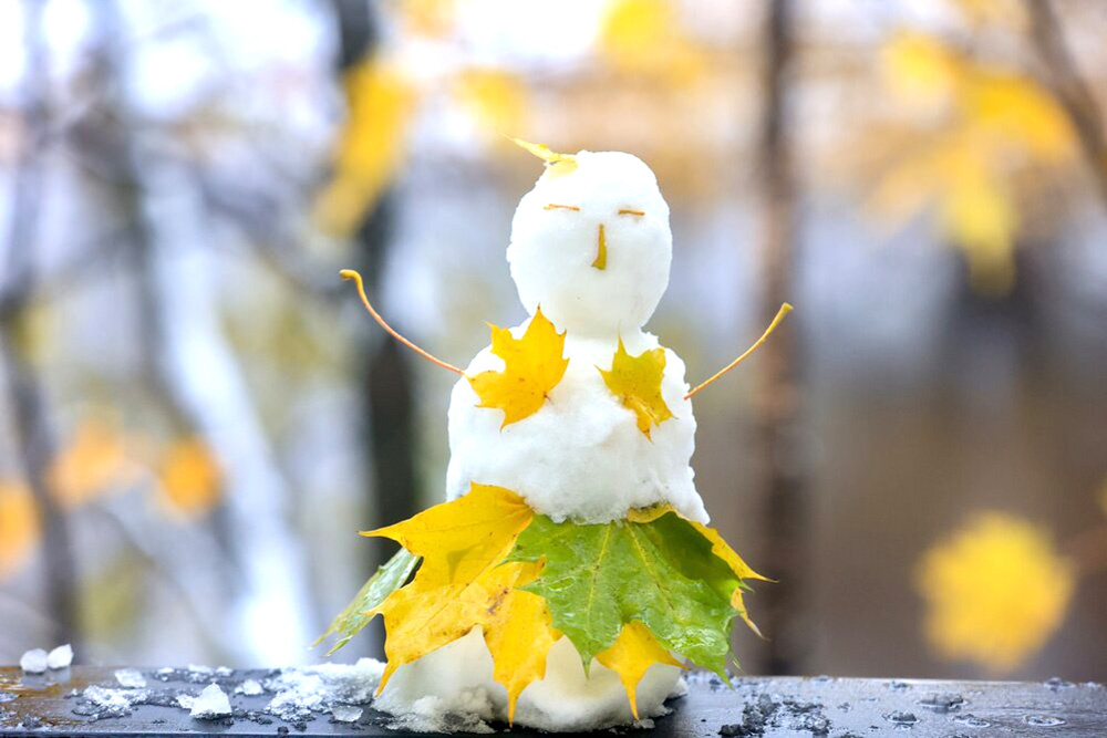    ©Агентство городских новостей "Москва"