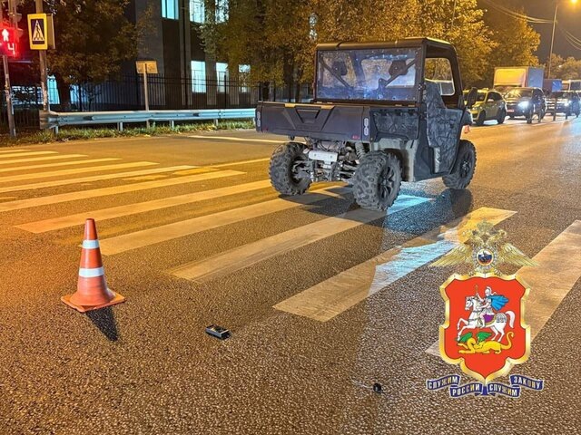    Фото: телеграм-канал "Подмосковная полиция"