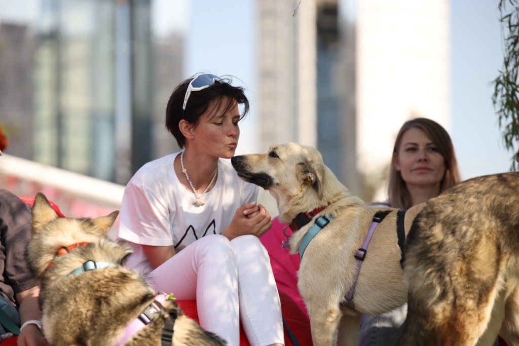    Фото © Анастасия Романова / Абзац