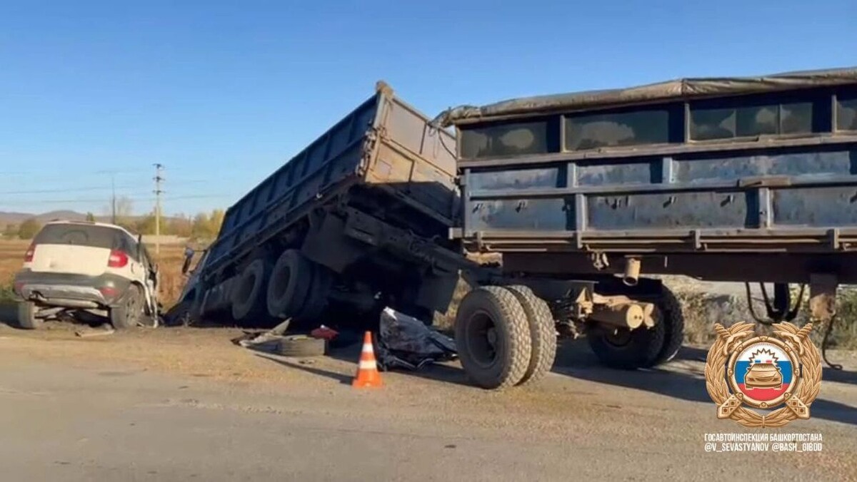    Фото: t.me/V_Sevastyanov/8319