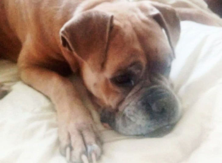    Фото предоставлено сотрудниками музея