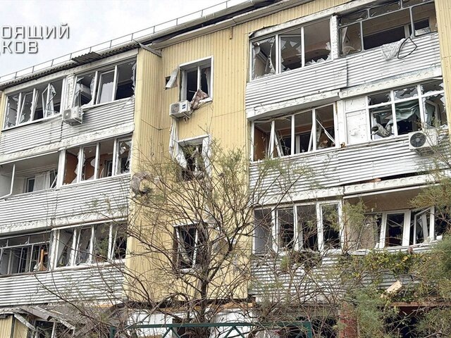    Фото: телеграм-канал "Настоящий Гладков"