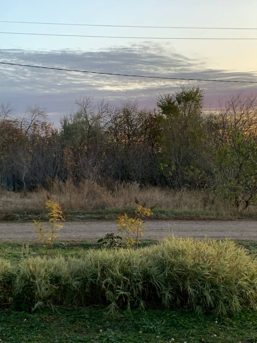 Потихоньку листва опадает