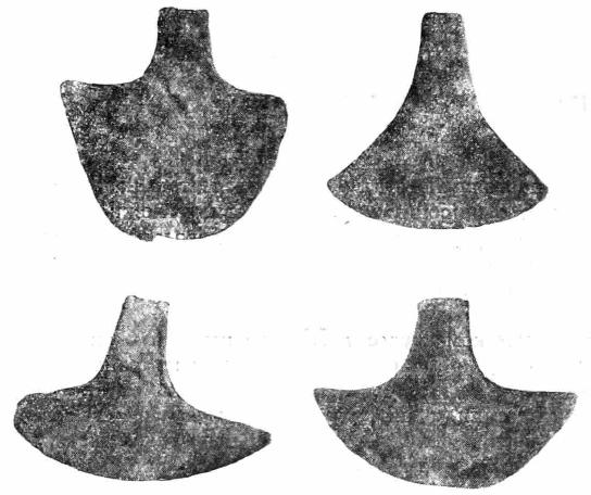 Сечки из с. Опшквити, в районе г. Кутаиси