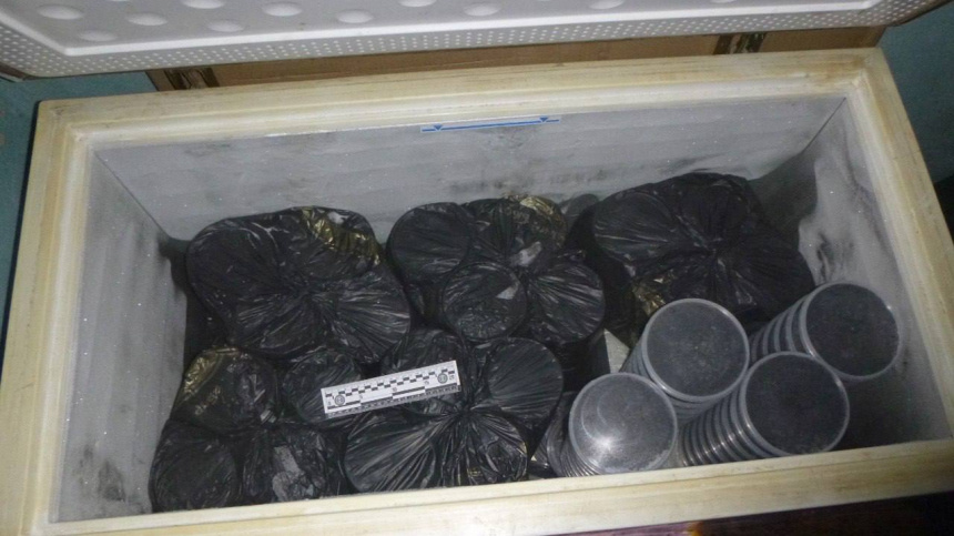    Фото: Telegram/Полиция Хабаровского края/mvd_27