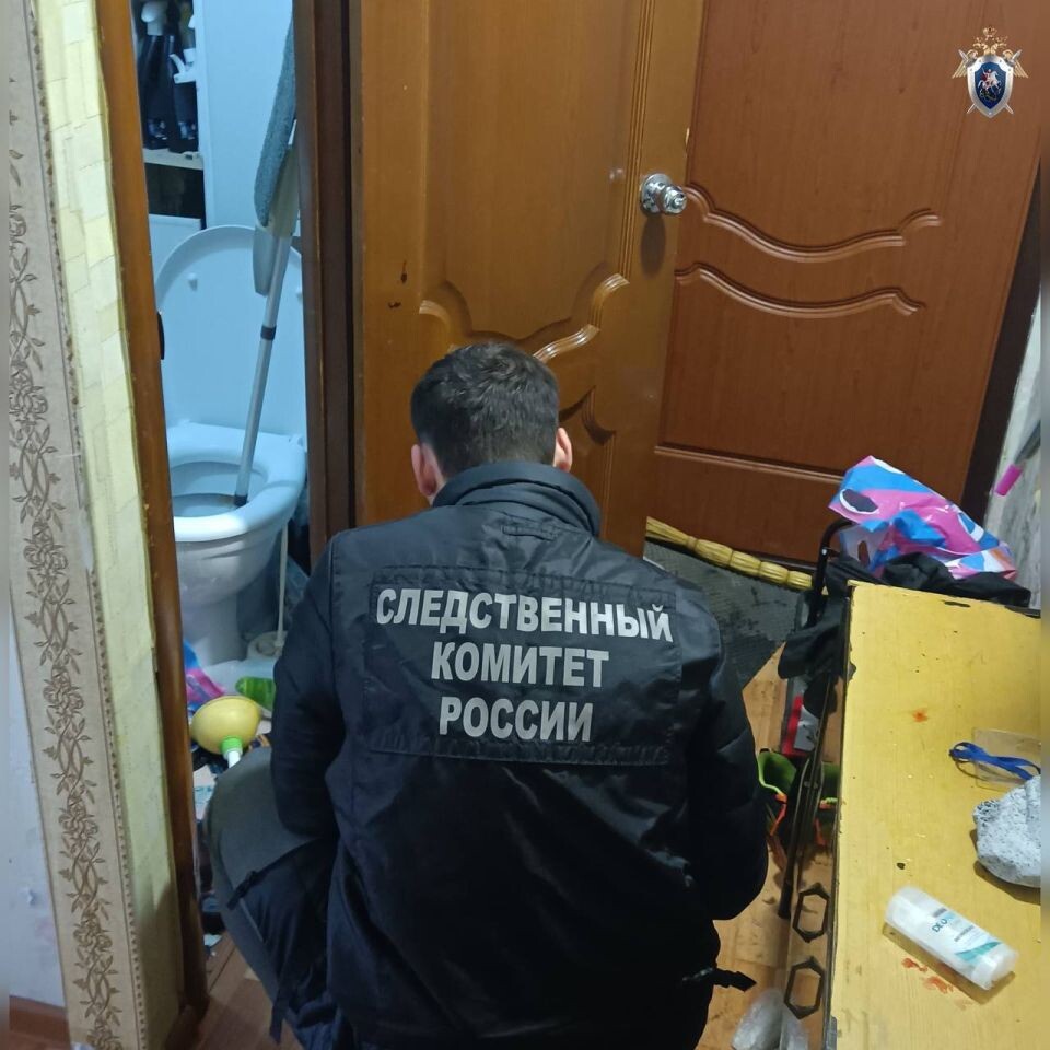    Отец выбросил двухлетнюю дочь из окна в Уфе. Источник: СК России по Республике Башкортостан