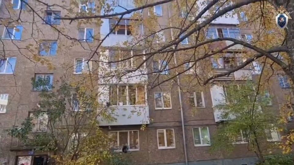    Отец выбросил двухлетнюю дочь из окна в Уфе. Источник: СК России по Республике Башкортостан