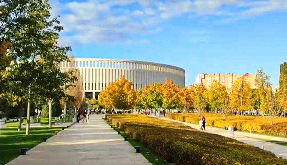 ⚽🎈🎉🎈⚽🎈🎉🎈⚽