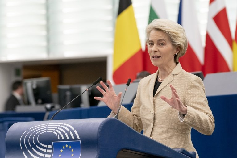    Фото: Flickr / European Parliament Виктория Самойленко
