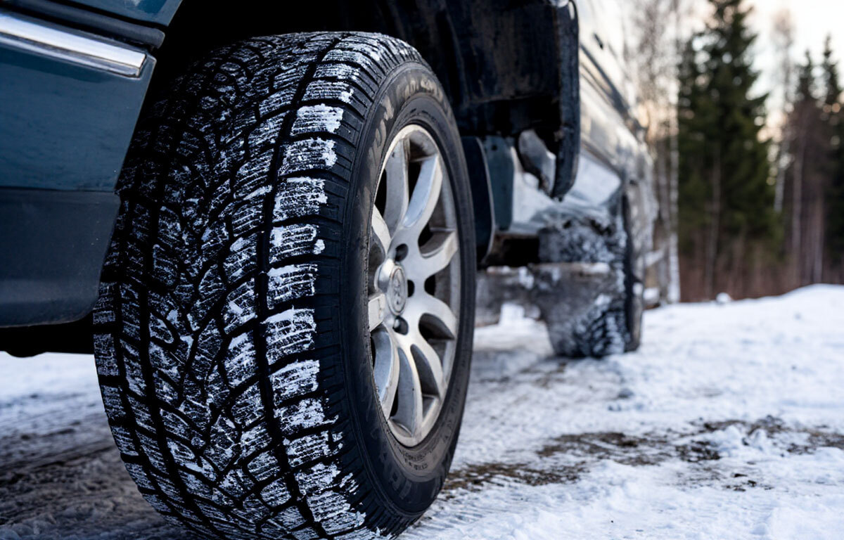    Фото: Шедеврум