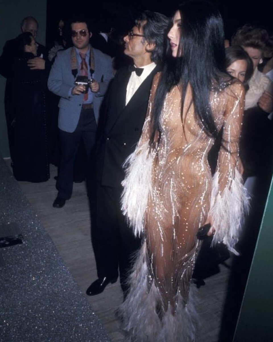 Шер (Источник: Pinterest)