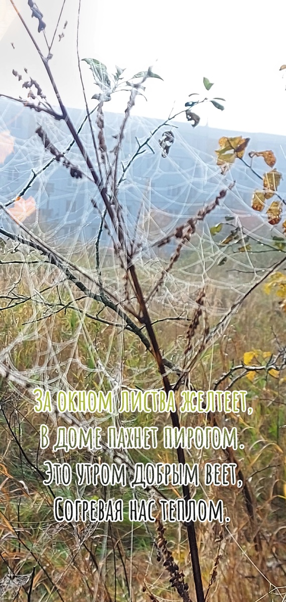 #моимыслинабумагеподпером