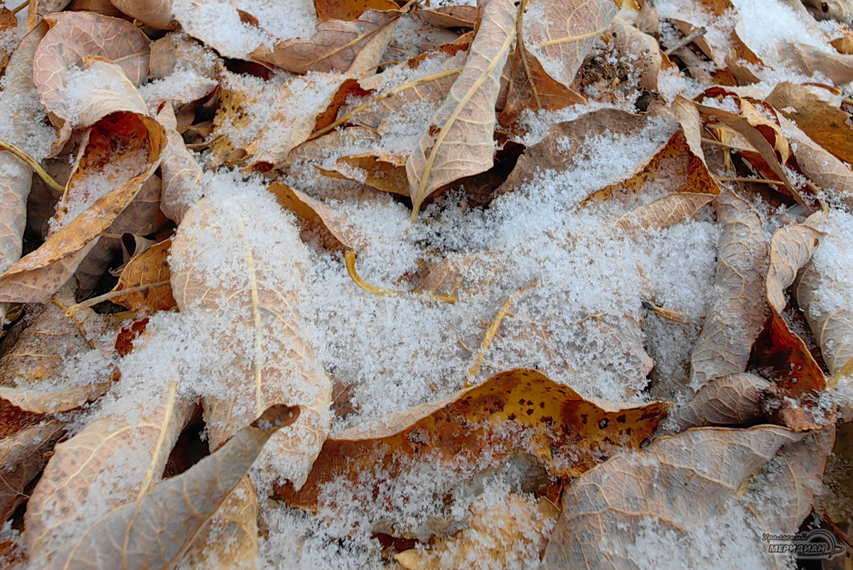   Фото: Лидия Аникина © ИА «Уральский меридиан»