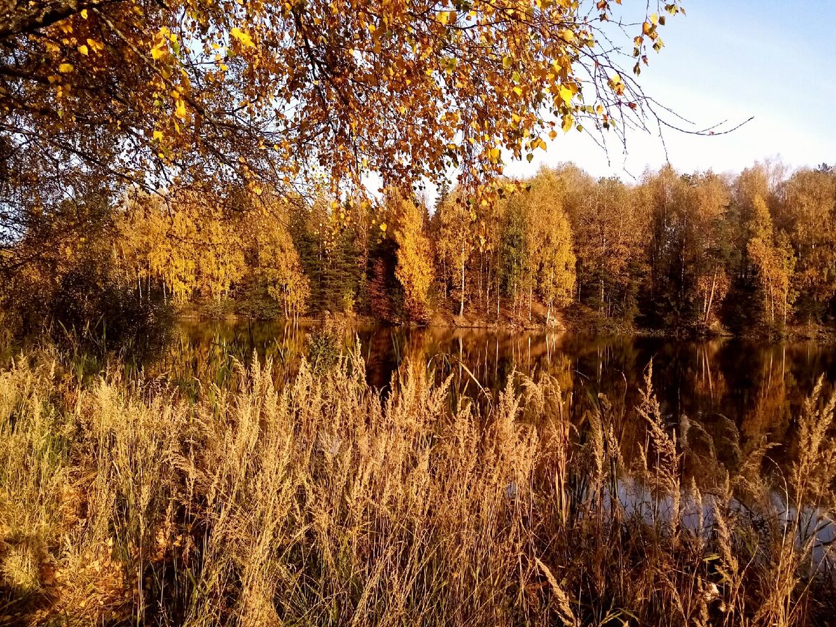 Путешествия по золотой осени