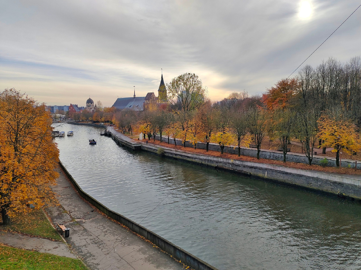 Золотая осень в Калиниграде