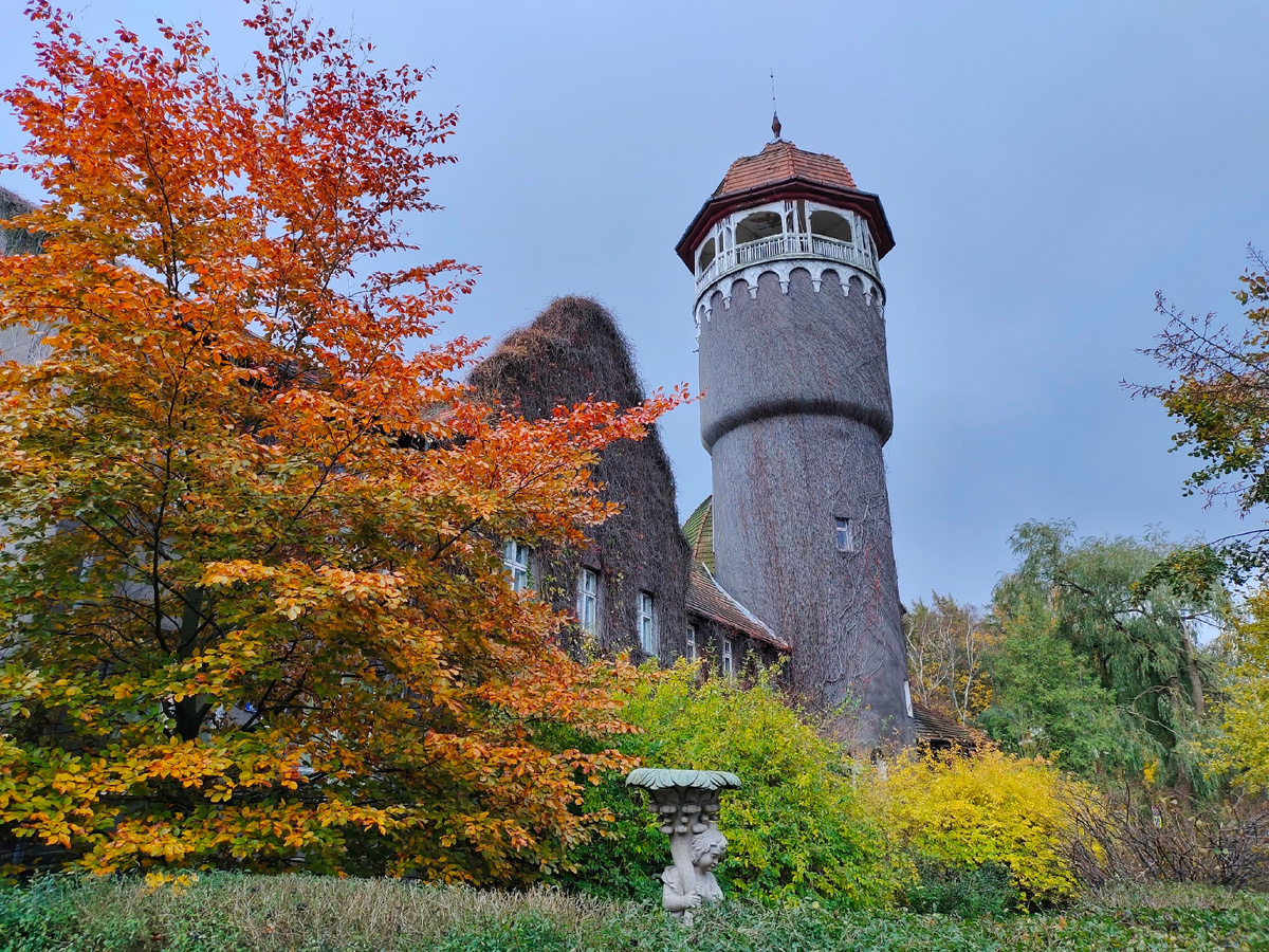 Золотая осень в Светлогорске