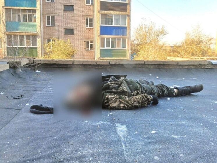    Фото: Чита.Ру