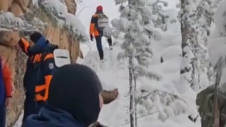     Спасатели показали, как проходят поиски семьи Усольцев в Красноярском крае