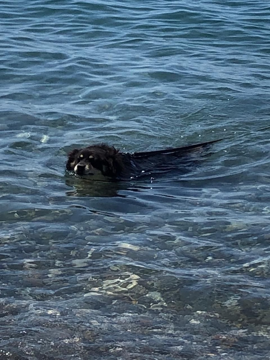Атмосфера бархатного сезона в солнечном Сочи.