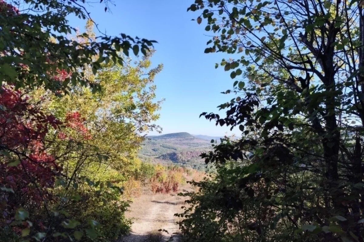    Подлечить «легкие» полуострова.