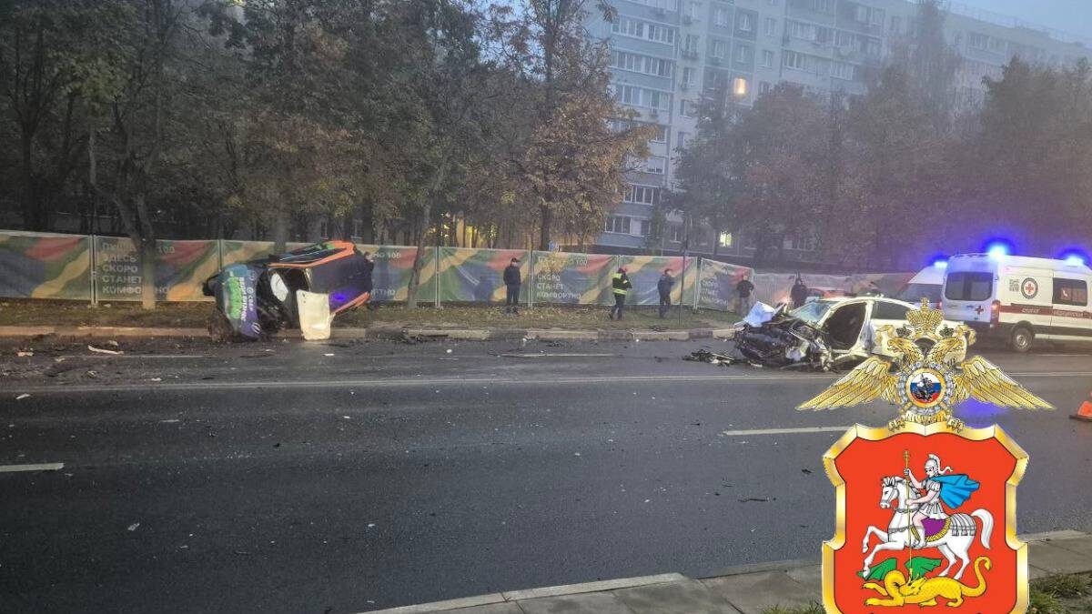    Фото: Пресс-служба ГУ МВД России по Московской области / Telegram