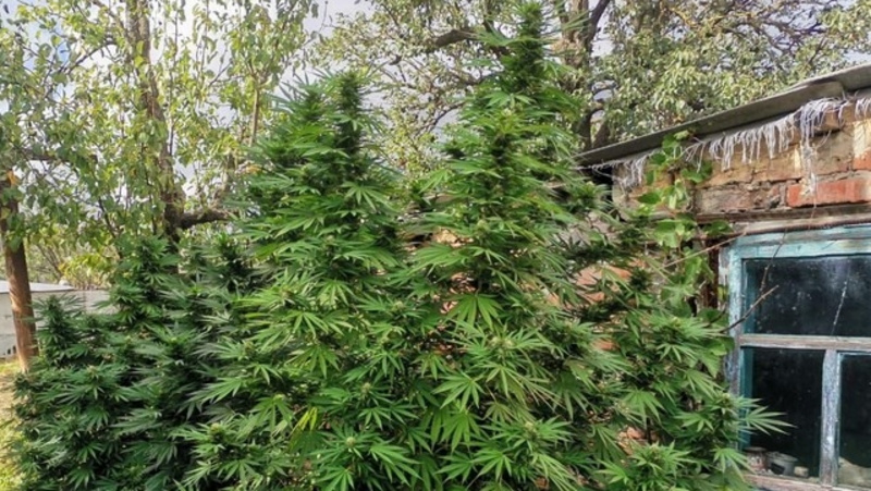      Фото: ГУ МВД по СК