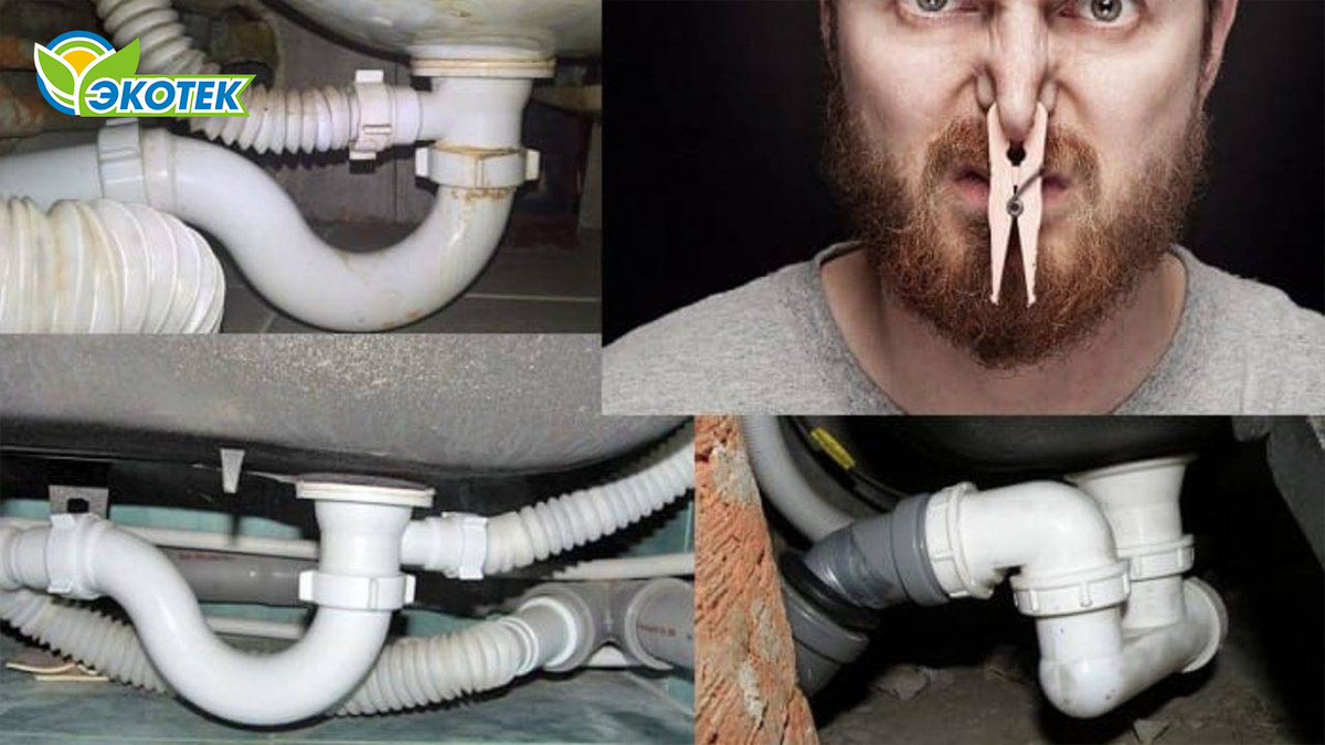 Запахло канализацией в частном доме: почему возникла проблема? Экотек