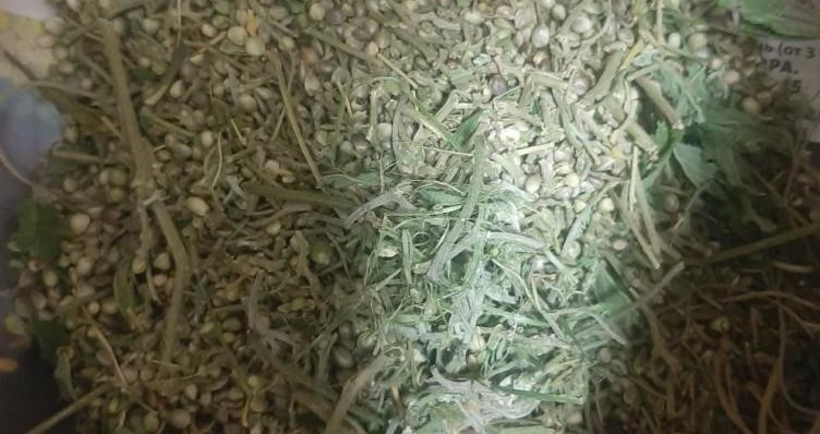    Фото: пресс-служба УТ МВД России по СКФО Диана Огнева