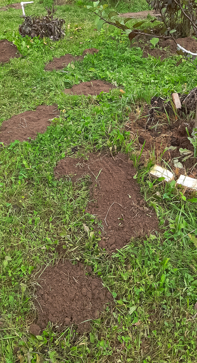 Местное крото-метро, продолжают делать вентиляционные вытяжки из прогонов (пробегов)